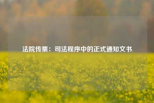 法院传票：司法程序中的正式通知文书