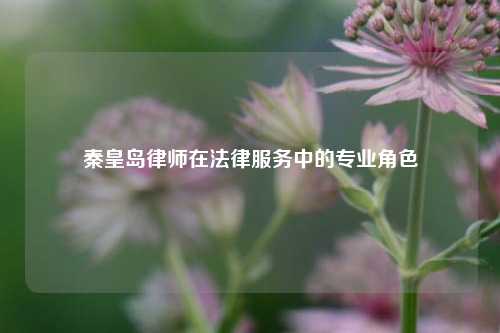 秦皇岛律师在法律服务中的专业角色