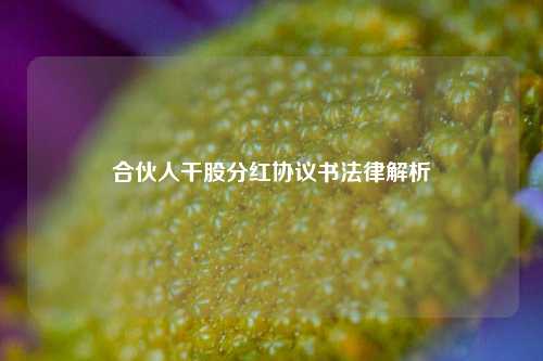 合伙人干股分红协议书法律解析
