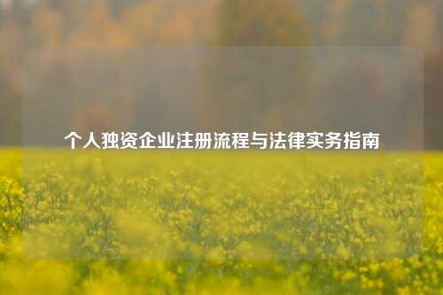 个人独资企业注册流程与法律实务指南